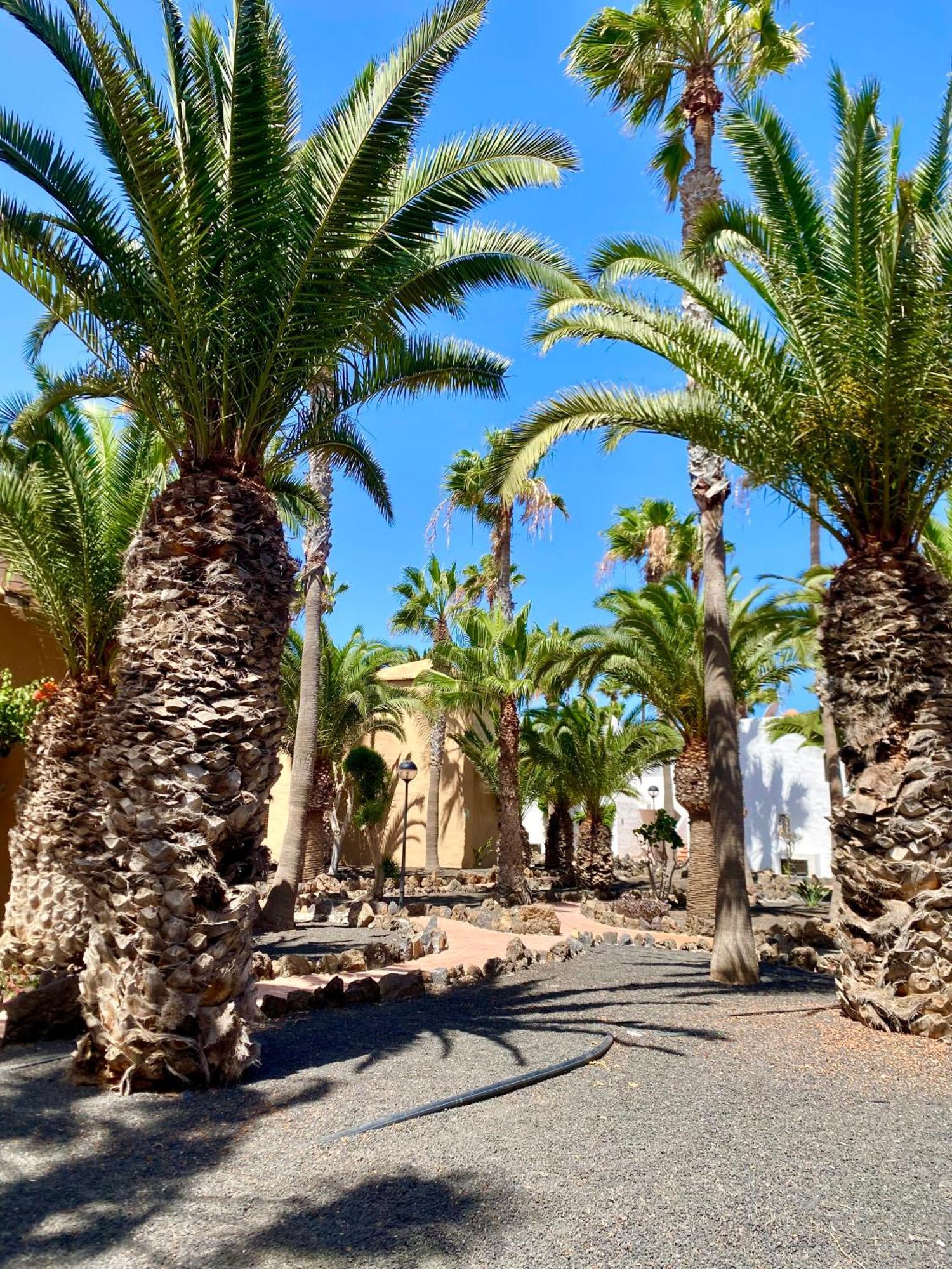 Blanca Del Sol Oasis Duna Appartement *